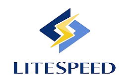 Lite Speed Cache